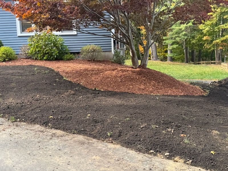 Gallery photos for Beautiful Front Yard Makeover: Image #1