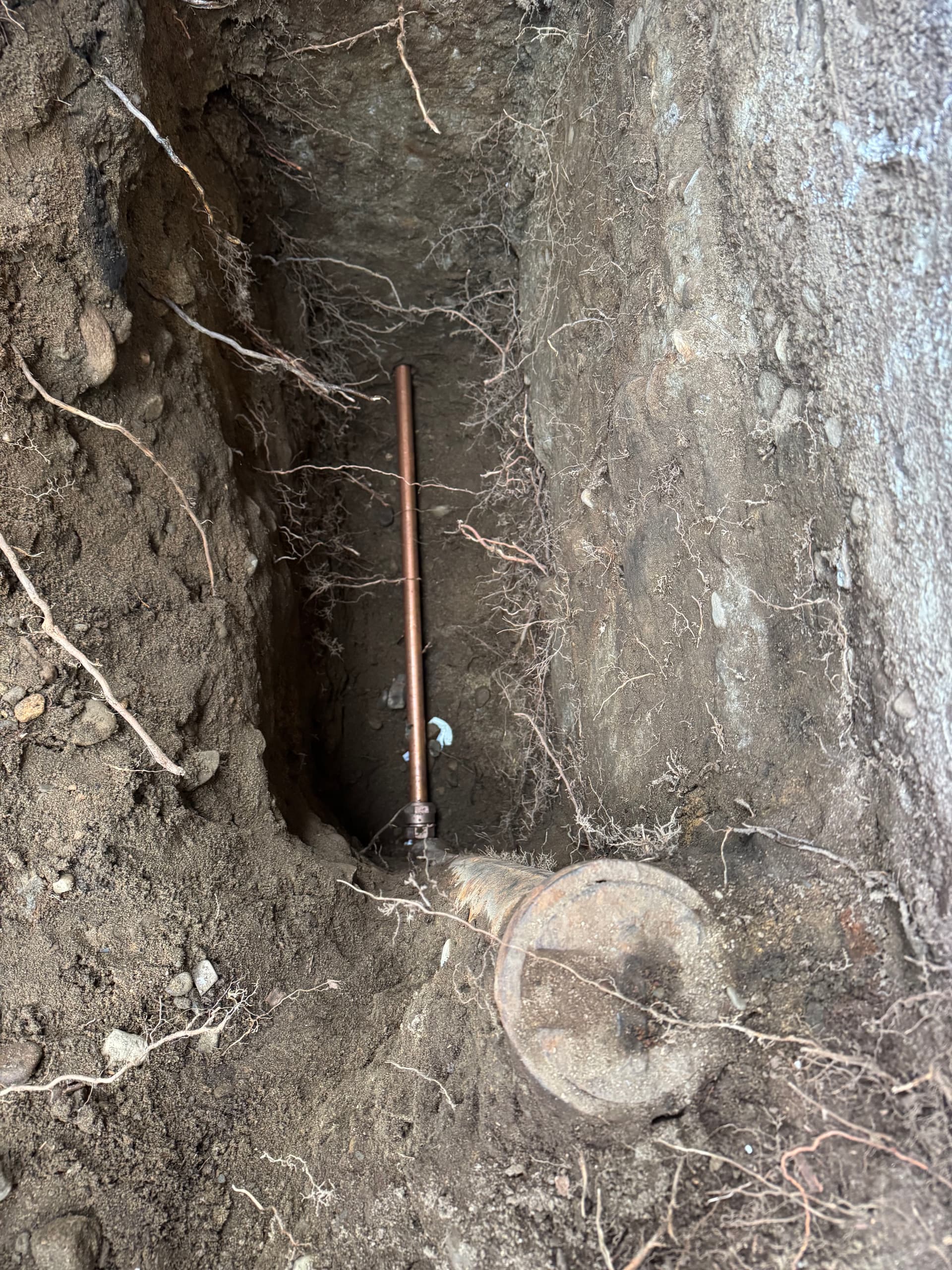 Busy Day of Utility and Concrete Services image